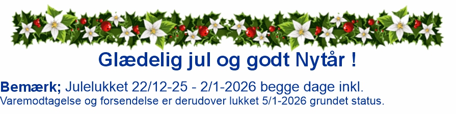 Glædelig jul og godt nytår